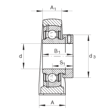 直立式軸承座單元 PASE20-N-FA125, 鑄鐵軸承座，帶偏心鎖圈的外球面球軸承，P 型密封，耐腐蝕保護(hù)