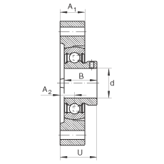 軸承座單元 FLCTEY40, 帶兩個螺栓孔的法蘭的軸承座單元，鑄鐵， 內(nèi)圈帶平頭螺釘， P 型密封，無再潤滑結(jié)構(gòu)